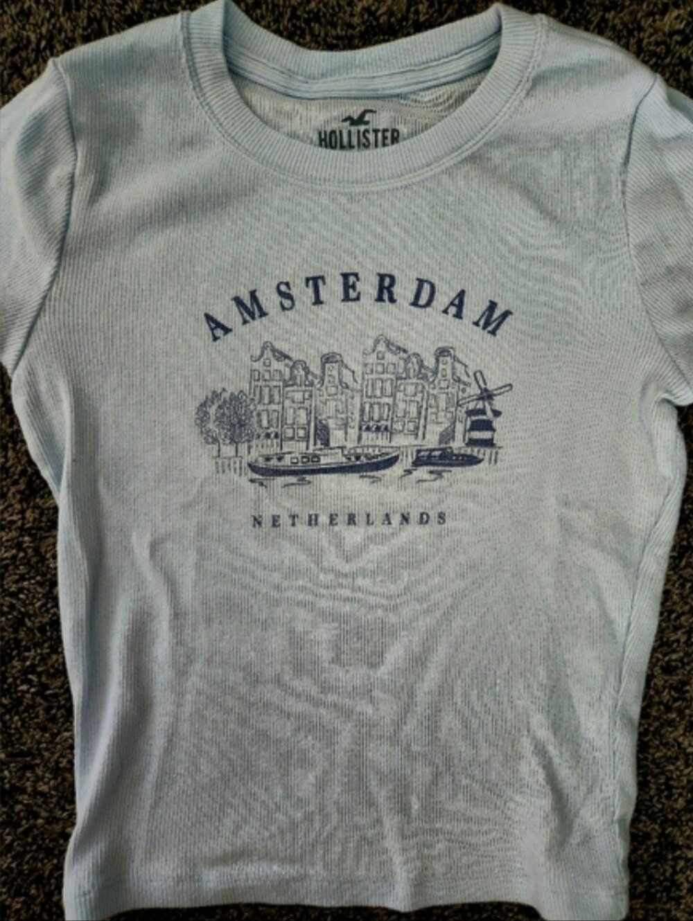 Hollister Amesterdam Netherlands Graphic Ribbed Crop Top – XSSoft ribbed graphic